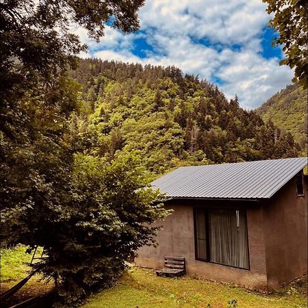 Cozy House In The Forest Borjomi Exterior photo