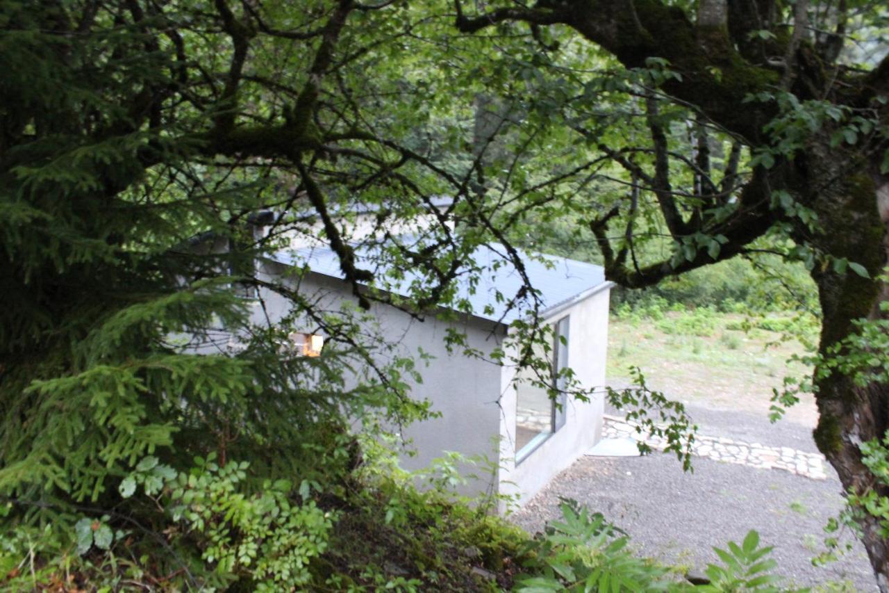 Cozy House In The Forest Borjomi Exterior photo