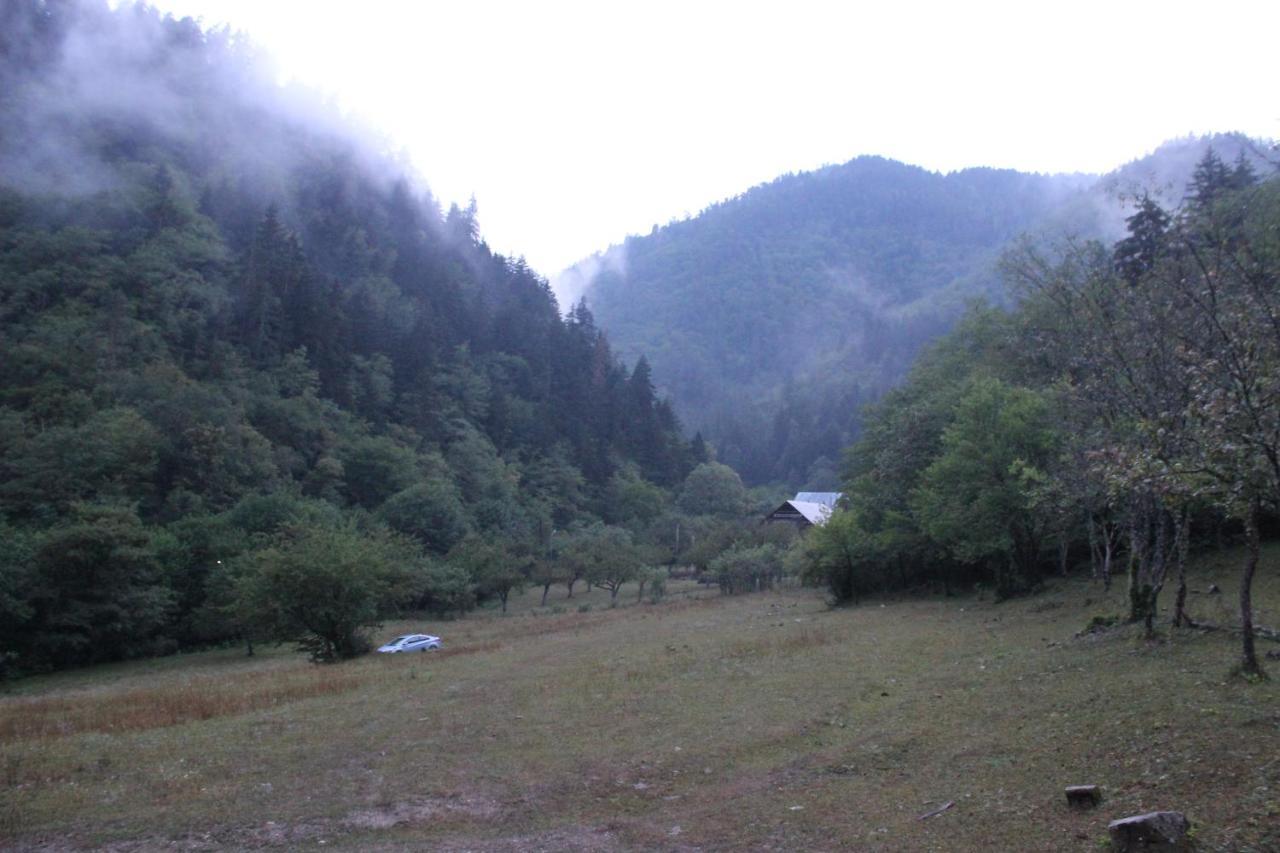 Cozy House In The Forest Borjomi Exterior photo
