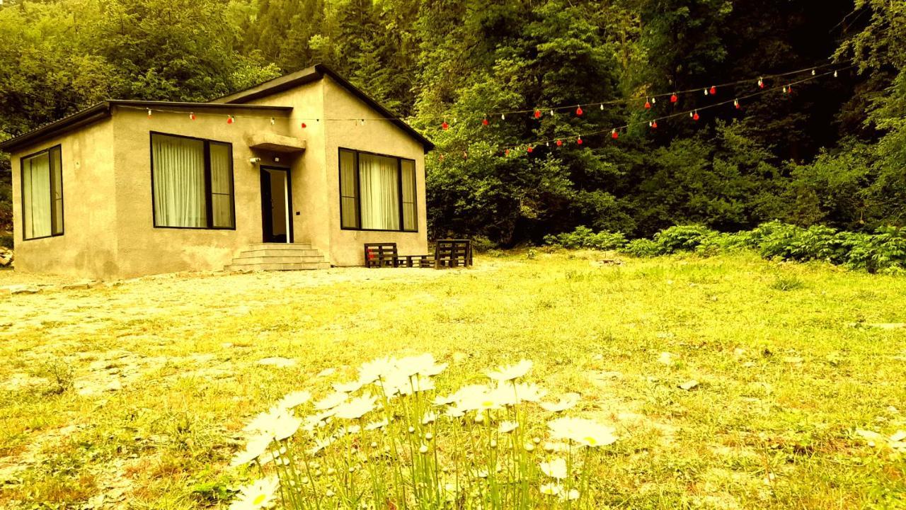 Cozy House In The Forest Borjomi Exterior photo