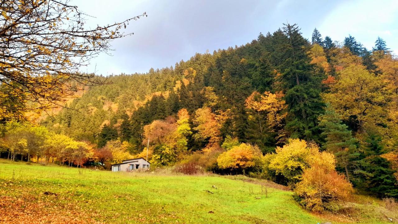 Cozy House In The Forest Borjomi Exterior photo