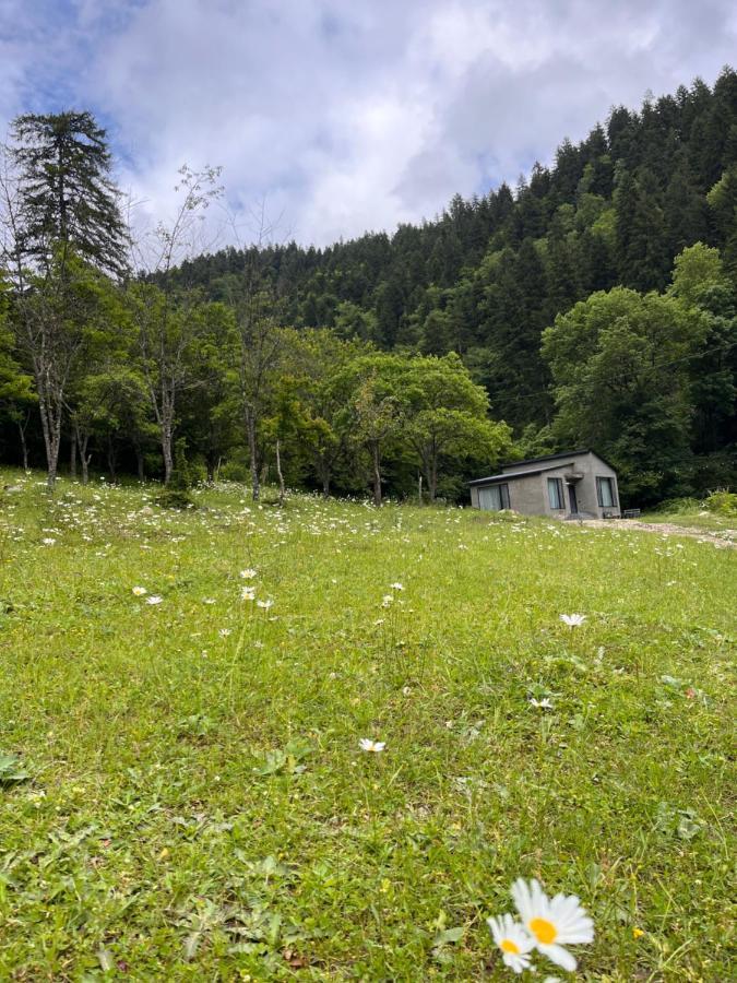 Cozy House In The Forest Borjomi Exterior photo